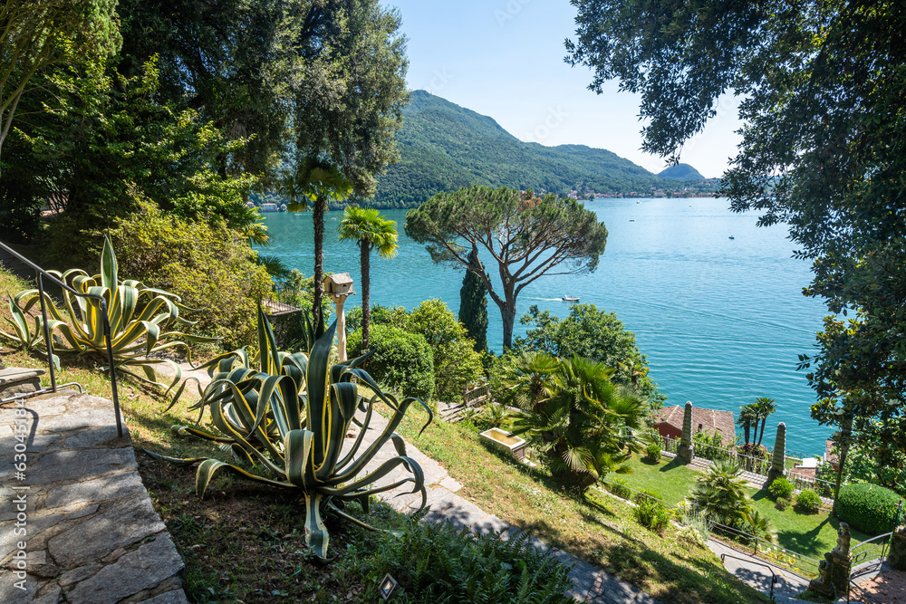 Fototapeta premium The beautiful Scherrer Park in Morcote, full of exquisite subtropical flora on the lakefront of Lugano Lake, Switzerland