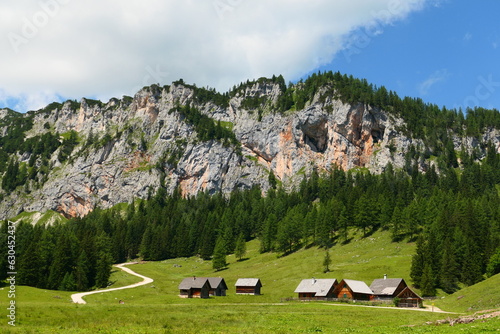 Almhütten auf der Wurzeralm