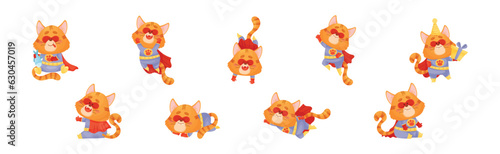 Ginger Whiskered Cat in Red Superhero Cloak and Mask Vector Set