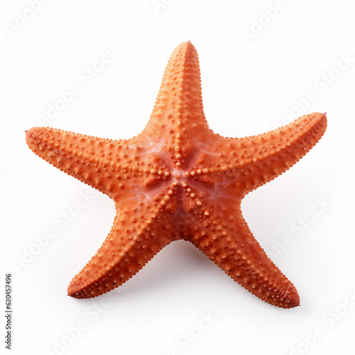 Isolated starfish on a white background  ocean  sea  beach - perfect for summer vacation design. Flat lay  top view  with subtle shadows.