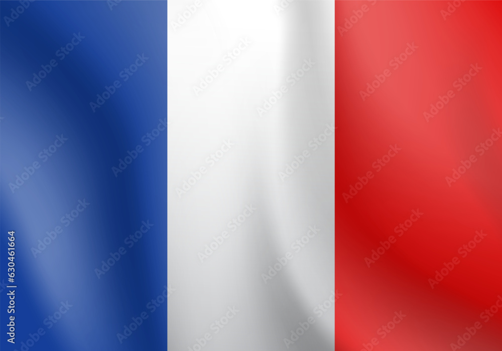 National flag of France. Vector illustration.
