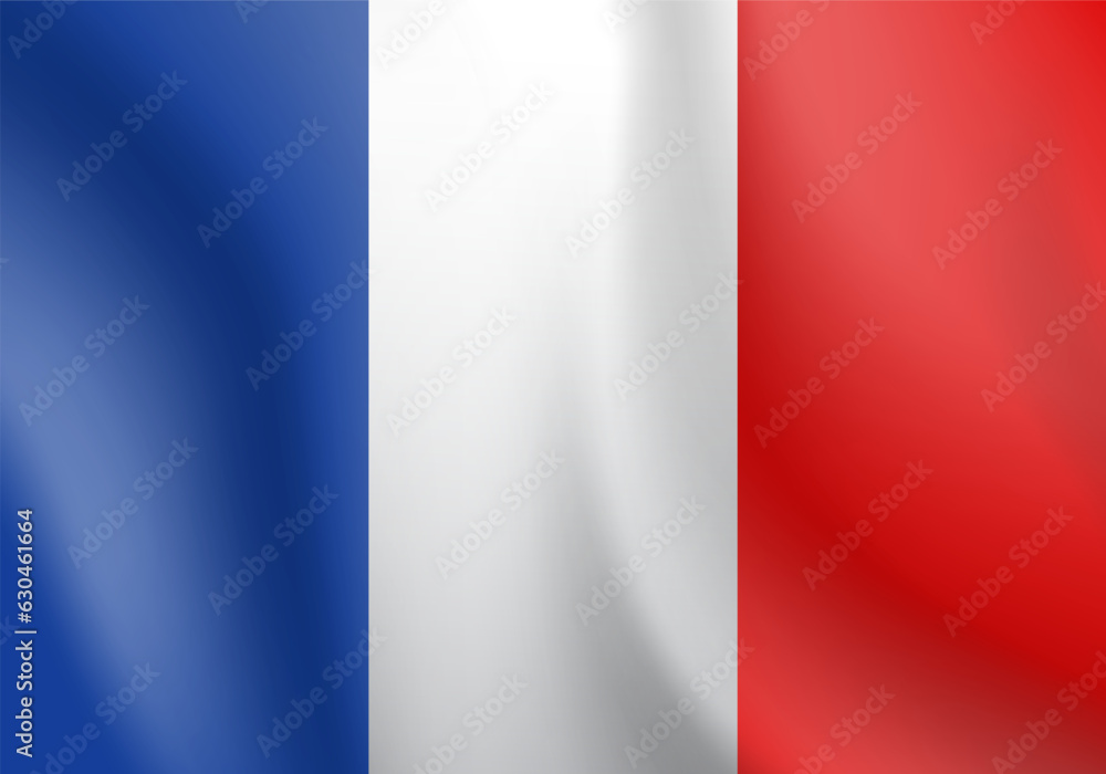 National flag of France. Vector illustration. National flag of France. Vector illustration.