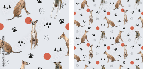 Seamless whippet dogs pattern, holiday texture. Square format, t-shirt, poster, packaging, textile, textile, fabric, decoration, wrapping paper. Trendy hand-drawn abstract wallpaper with dogs.