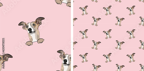 Seamless pattern with dog in a pocket, with paws only. Pink Packaging, textile, decoration, wrapping paper. Trendy hand-drawn funny Whippet dogs loking out, square pattern. Pattern with dog faces.