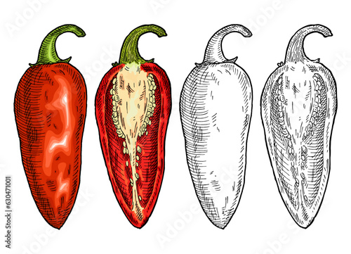 Whole and half red pepper jalapeno. Vintage engraving vector color illustration.