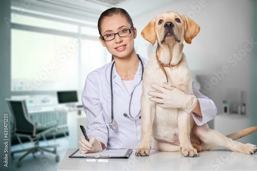 Young vet doctor with cute dog in clinic, AI generated image