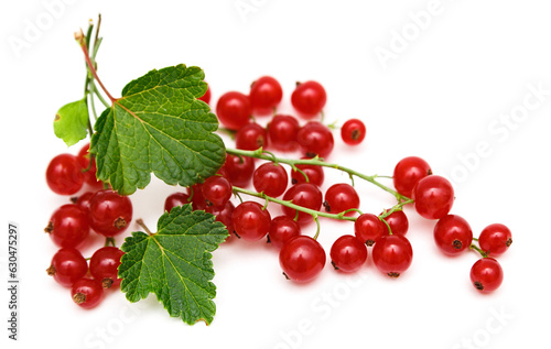 Red currant isolated on white background. Fresh, ripe berries.