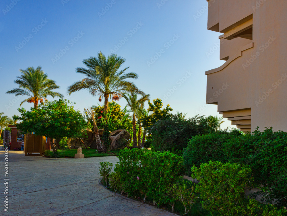 Fototapeta premium Palm trees on the beach