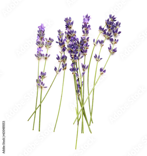 Fototapeta Naklejka Na Ścianę i Meble -  Branches of beautiful lavender flowers on white background