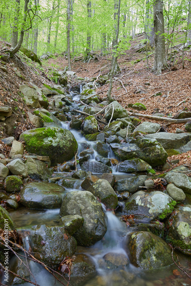 Long exposure of a stream in the woods, Apennines, Italy Long exposure of a stream in the woods, Apennines, Italy