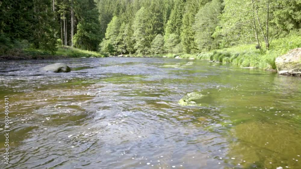 Hike along and near the Black Rain River (Schwarzer Regen) in the Bavarian Forests Germany. Hike along and near the Black Rain River (Schwarzer Regen) in the Bavarian Forests Germany.