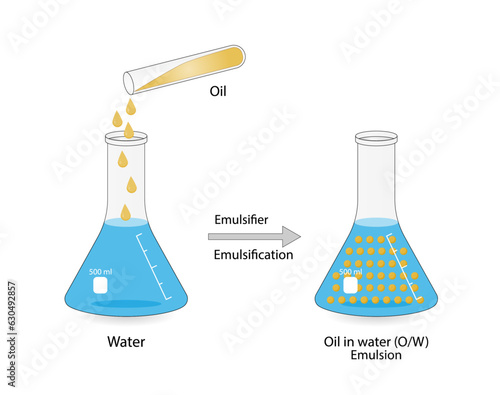 Emulsion, a mixture of two immiscible liquids (oil and water) in flasks, Emulsion oil in water, Immiscible liquids. Emulsification, emulsifier. isolated on white background. Vector illustration.