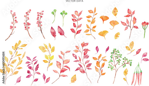 Wallpaper Mural 水彩画。水彩タッチの秋の木の実ベクター背景イラスト。秋の植物水彩イラスト。Watercolor. Autumn nuts vector background illustration with watercolor touch. Autumn plants watercolor illustration. Torontodigital.ca