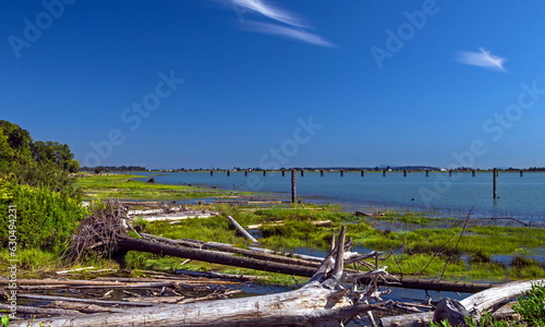 View of the river at high tide. Flooded green meadow with green grass. Dead trees on the shore. Old wooden piles along the fairway. Against the blue sky