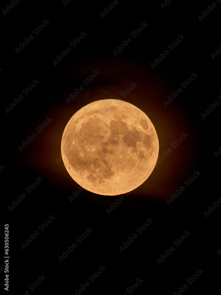 Fototapeta premium Full Orange Moon movement across the sky