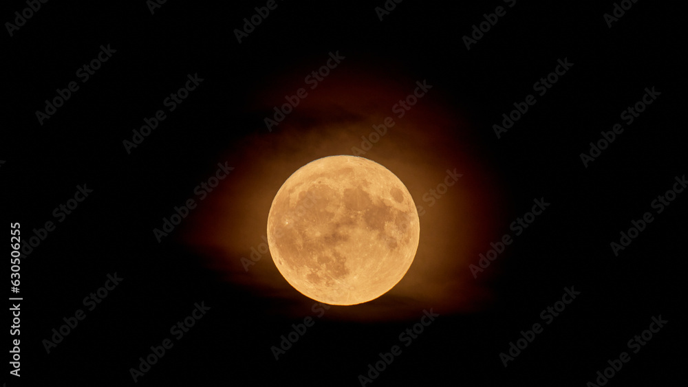 Fototapeta premium Full Orange Moon movement across the sky