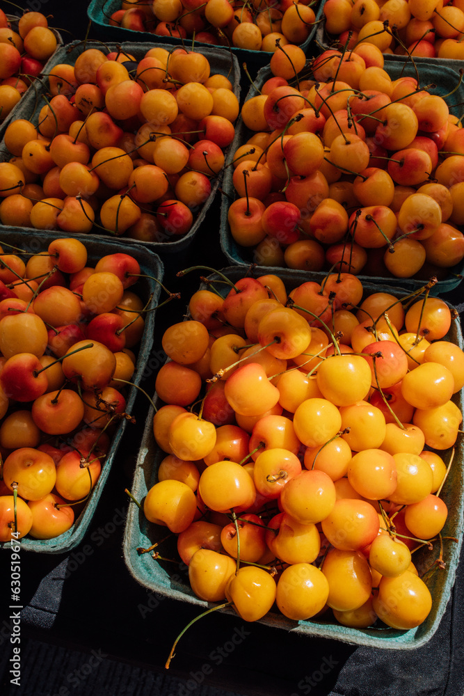 Rainier cherries in blue fruit containers at summer farmer's market