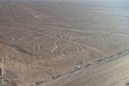 Nazca photo