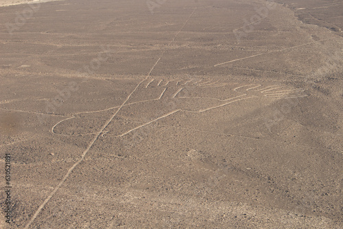 Nazca photo