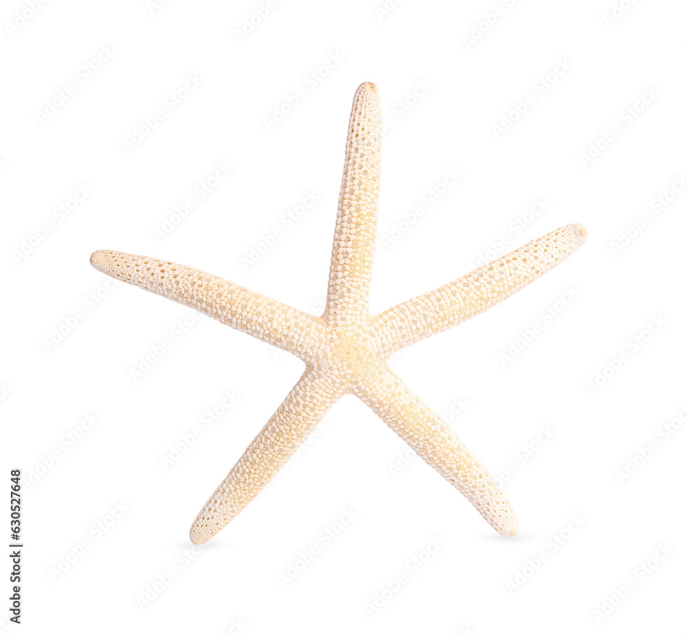 Beautiful sea star (starfish) isolated on white Beautiful sea star (starfish) isolated on white