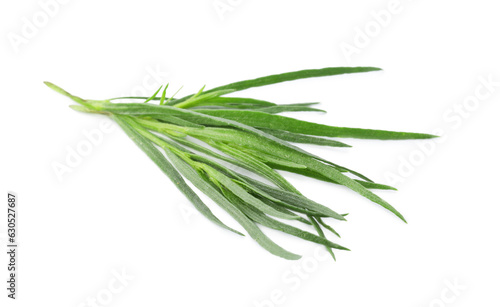 Sprigs of fresh tarragon on white background