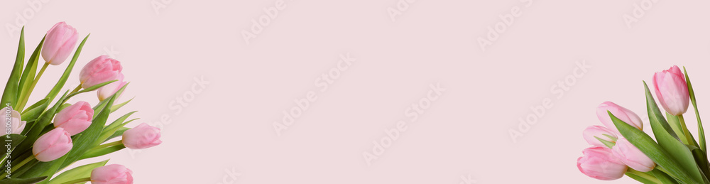 Beautiful tulips on pastel pink background. Banner design with space for text Beautiful tulips on pastel pink background. Banner design with space for text