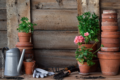 Obraz na plátne Garden potting bench with terracotta