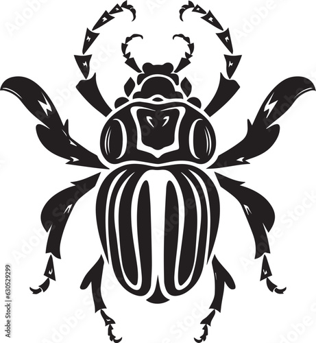 Beatle Insect Wings Bug Animal 