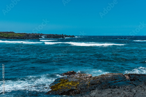 Punalu'u Black Sand Beach , Big Island, Hawaii. Pahoehoe Lava. volcanic rock.