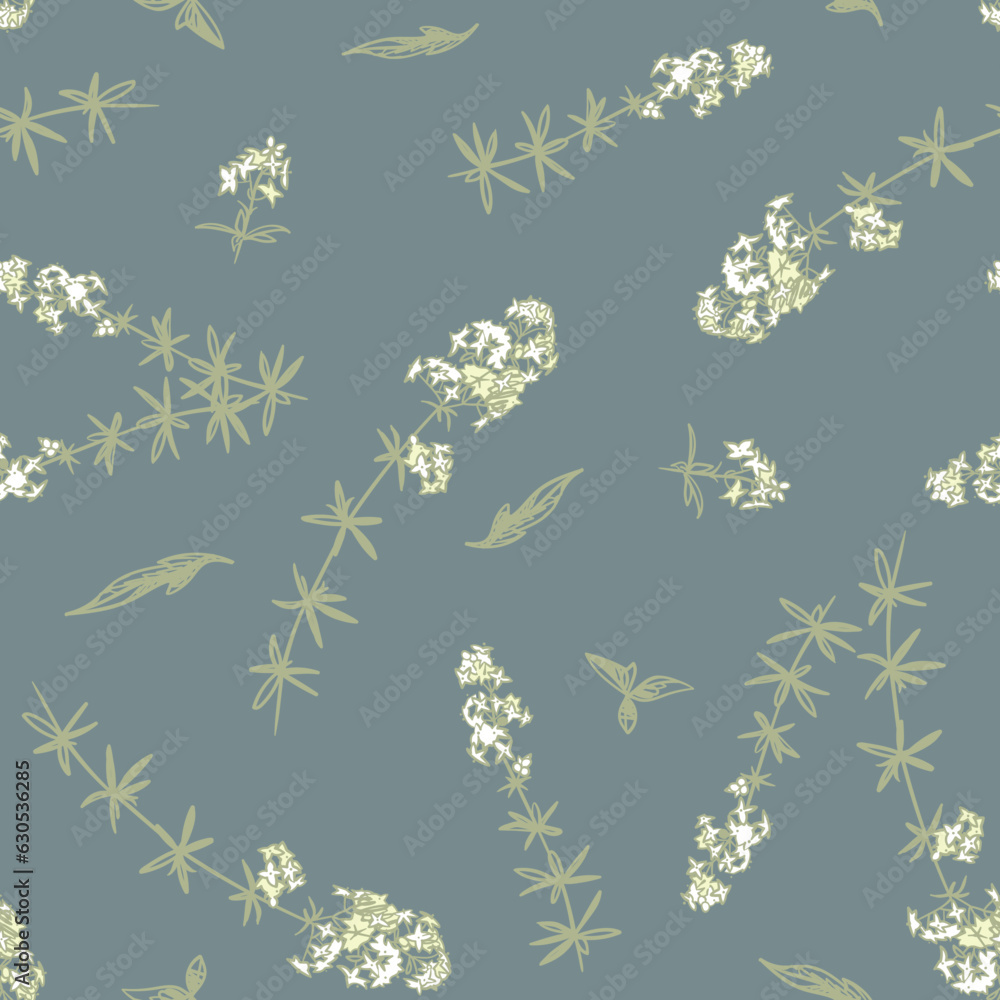 White bedstraw galium with flowers and grass leaves. Hand drawn vector seamless pattern