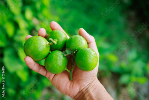 thai fresh lime