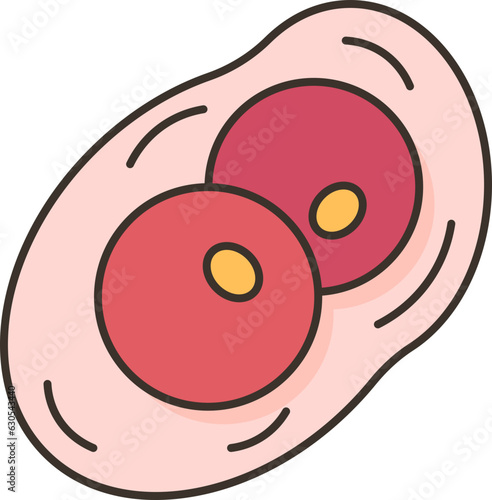 smallpox  icon