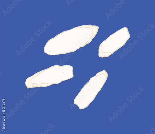 Dried slices of yam for soup or Chinese medicine in ingredient illustration
