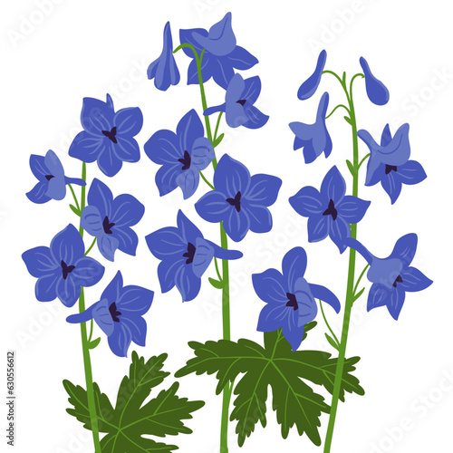 Delphinium, blue larkspur plants, vector drawing flowers at white background, hand drawn botanical illustration