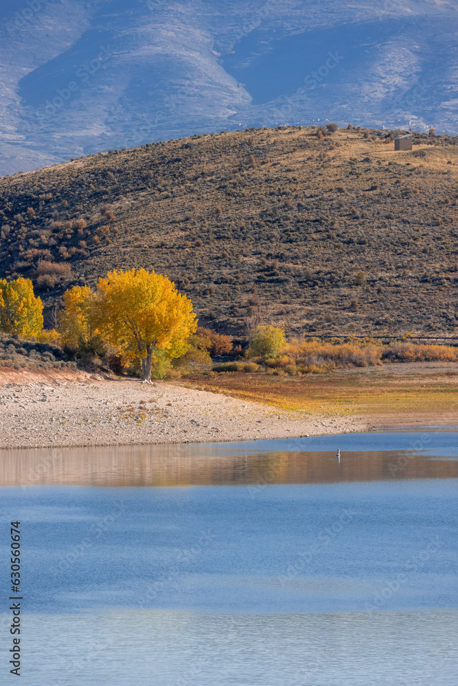 Φωτογραφία Yellow cottonwood trees by the shore line of Deer creek reservoir in Utah
