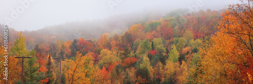 Panoramic view of misty autumn landscape wit colorful trees in Quebec province country side, Canada
