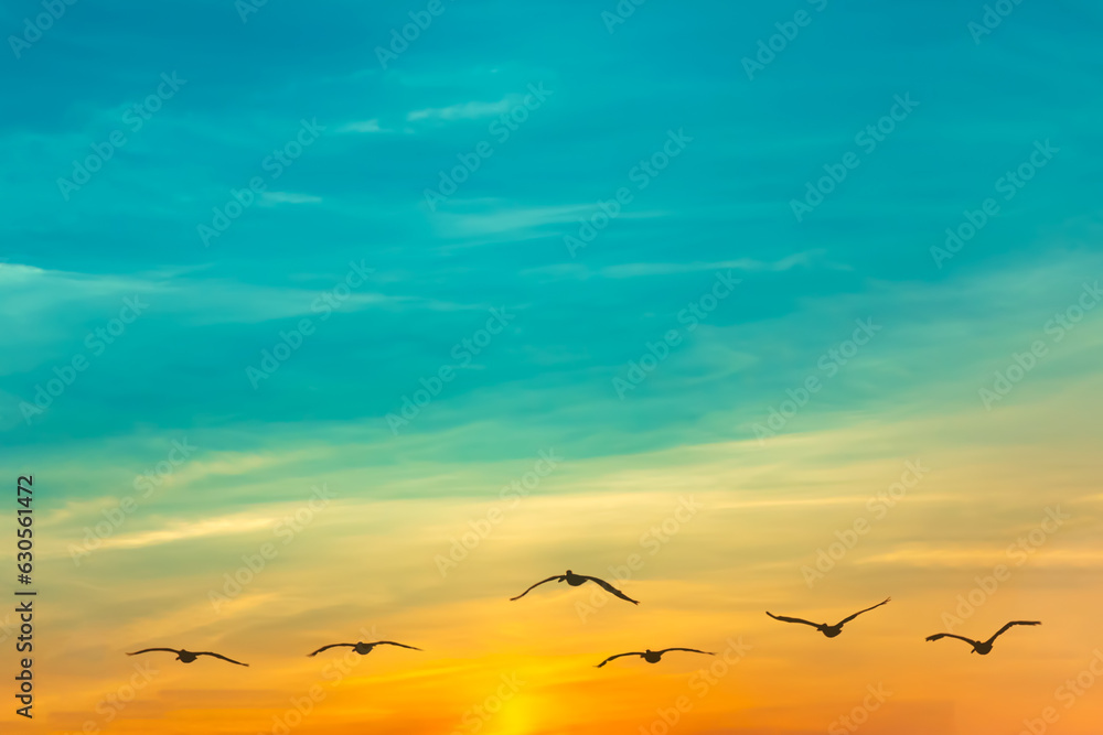 Graceful flock of pelicans takes flight against the backdrop of an orange, cloudy evening sky
