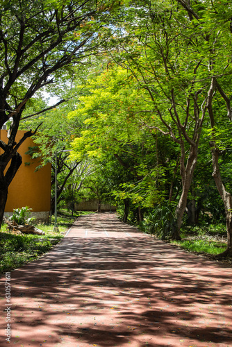Camino en el Deportivo Kukulcán en Mérida, Yucatán