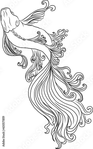 Golden Koi carp on red background for auspiciousness of Chinese new year.Gold fish for festival on backdrops.Beautiful line art of koi fish.Siam Beta fish vector.