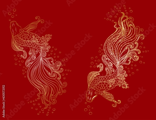 Golden Koi carp on red background for auspiciousness of Chinese new year.Gold fish for festival on backdrops.Beautiful line art of koi fish.Siam Beta fish vector.
