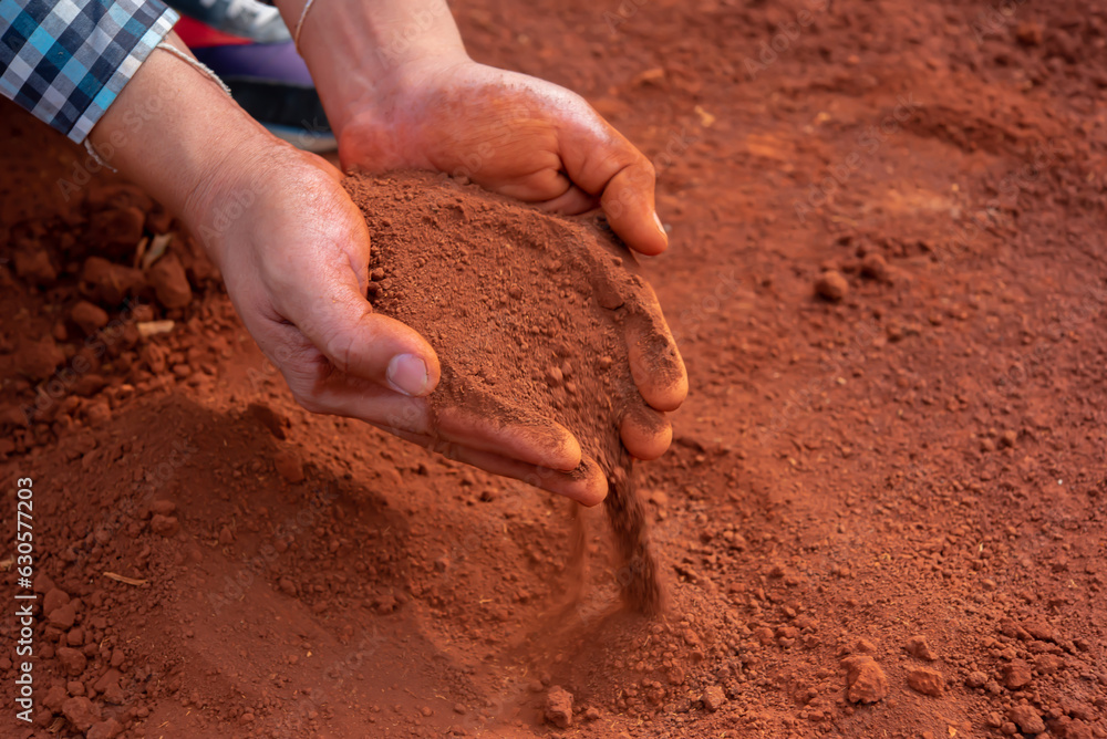 Nurturing embrace of the hands around the soil reflects the responsibility we have in preserving the planet's precious resources. Nurturing embrace of the hands around the soil reflects the responsibility we have in preserving the planet's precious resources.