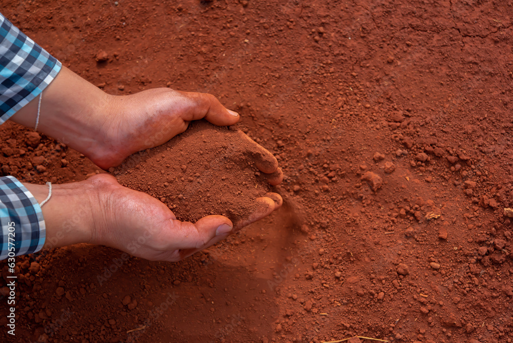 Top view, the hands delicately cradle the soil, emphasizing the importance of the earth as the foundation of life. Top view, the hands delicately cradle the soil, emphasizing the importance of the earth as the foundation of life.