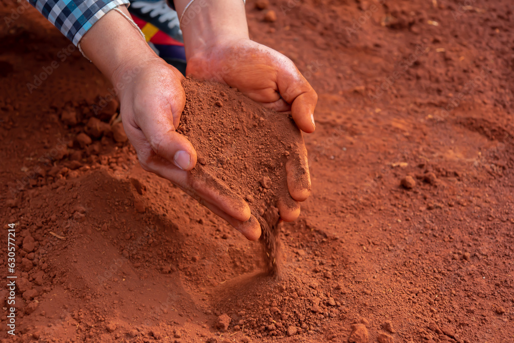 Hands cradling the soil evoke a sense of care and responsibility, representing the essential role play in cultivating and sustaining the environment. Hands cradling the soil evoke a sense of care and responsibility, representing the essential role play in cultivating and sustaining the environment.