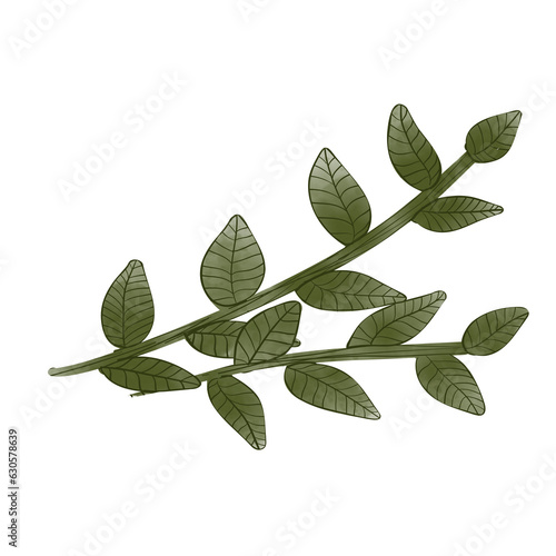 green leaves
