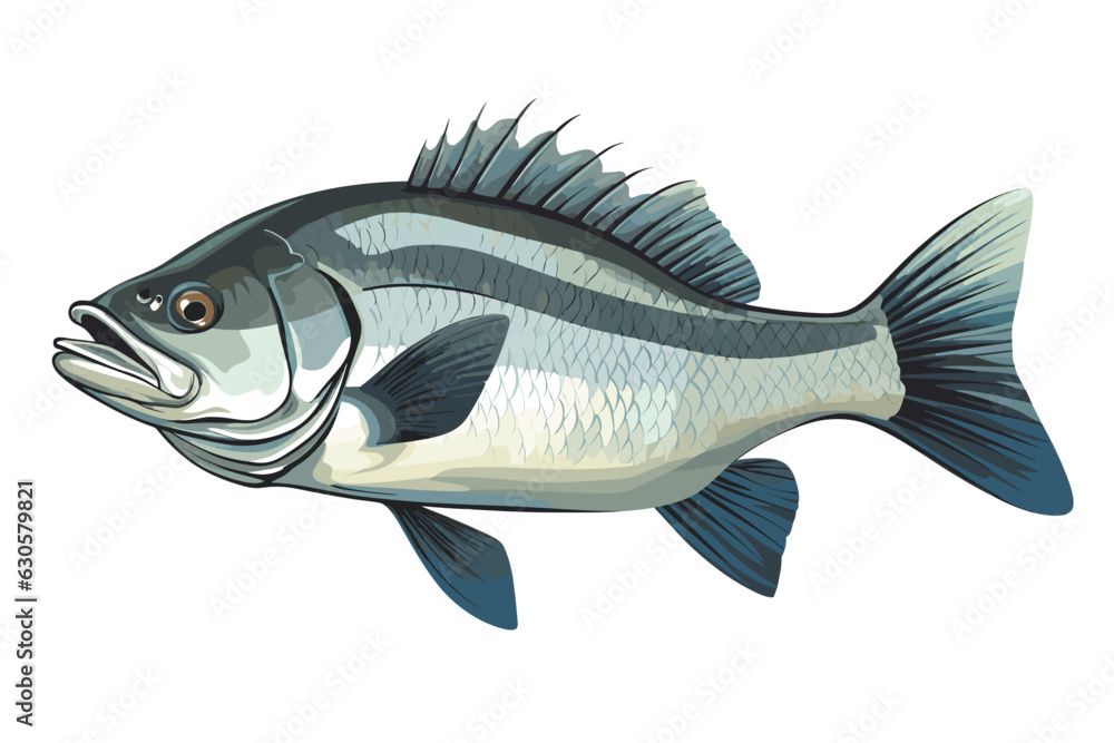 Fototapeta premium Perch fish vector art still life painting flat illustration
