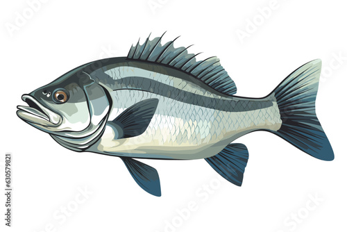 Perch fish vector art still life painting flat illustration