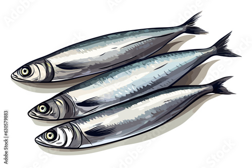 Sardines fish vector art still life painting flat illustration