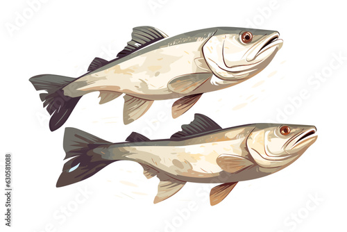 Cod fish vector art still life painting flat illustration