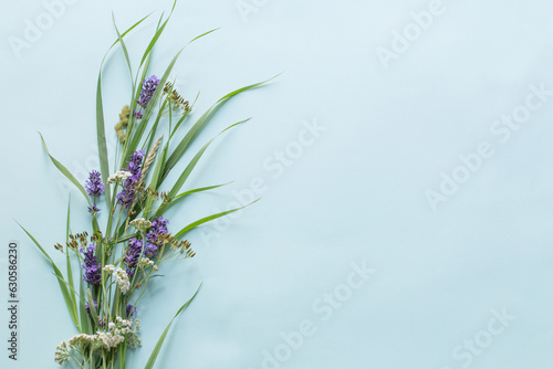 wild flowers and plants on blue background