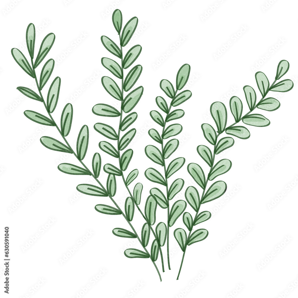 Fototapeta premium algae,sea,under the sea,coral,red algae,seagrass,Shell,coral reef,crab,jelly fish,Fish,Jellyfish,shellfish